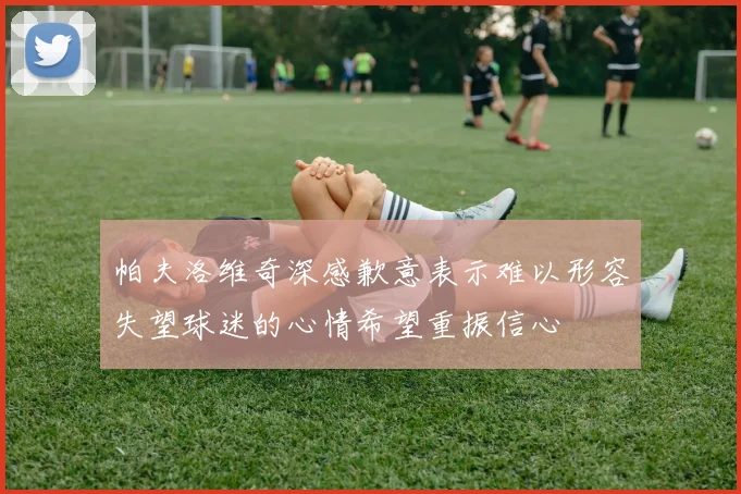 帕夫洛维奇深感歉意表示难以形容失望球迷的心情希望重振信心